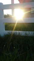 light